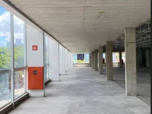 Loja para Locação em São Paulo - 5