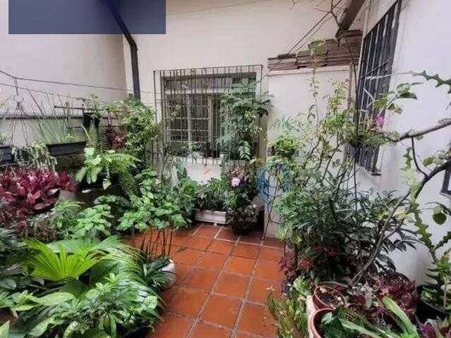 #1810 - Casa para Locação em São Paulo - SP