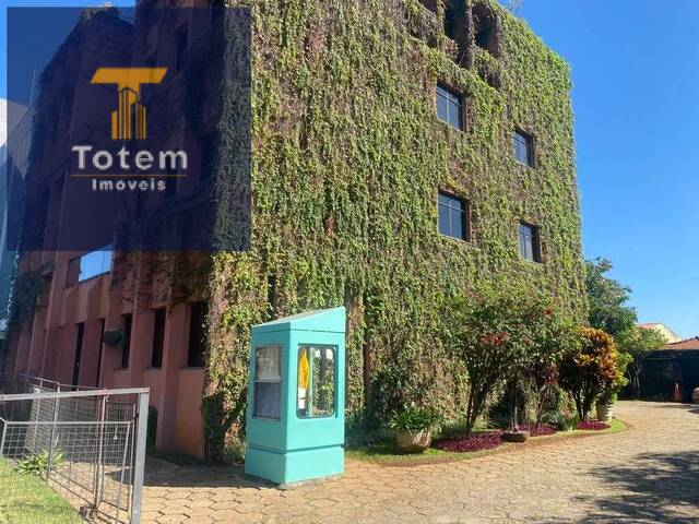 Locação em Vila Hamburguesa - São Paulo